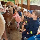 Wycieczka przedszkolaków z Grodkowic do AlpacaPark w Przebieczanach.