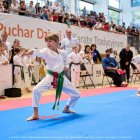 XXIV Ogólnopolski Puchar Polski Dzieci w Karate Tradycyjnym.