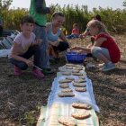 Powtórka Targu czyli wierzby nigdy końca...