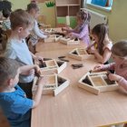 „Hotele dla owadów” – Przedszkole Targowisko.