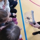 Żywa lekcja zoologii w Szkole Podstawowej i Przedszkolu w Grodkowicach – Edukacja przez doświadczenie.