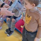 Żywa lekcja zoologii w Szkole Podstawowej i Przedszkolu w Grodkowicach – Edukacja przez doświadczenie.