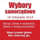 Wybory Samorządowe 2014